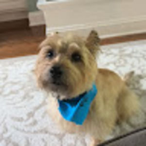 Meet your Posher, Caroline